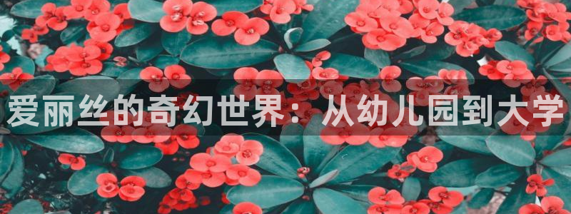 好看漫画51漫画免费观看：爱丽丝的奇幻世界：从幼儿园到大学