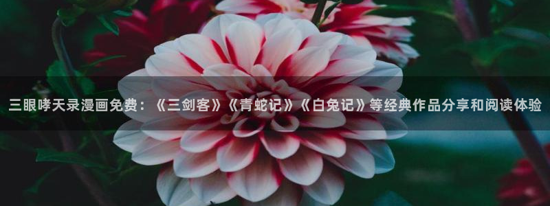与岳母同屋51漫画在线观看：三眼哮天录漫画免费：《三剑客》《青蛇记》《白兔记》等经典作品分享和阅读体验