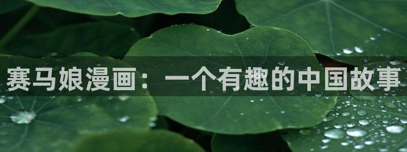 云龙风虎51漫画官网入口