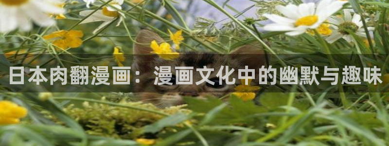 歪歪漫画51漫画免费无
