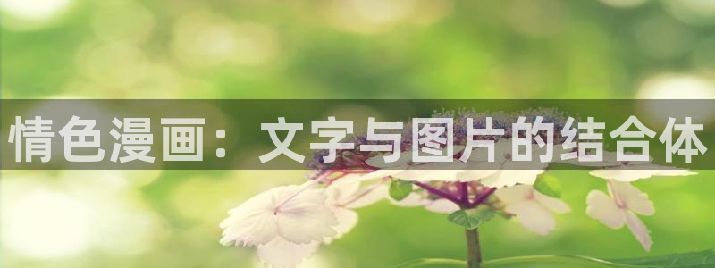 免费51漫画画大全