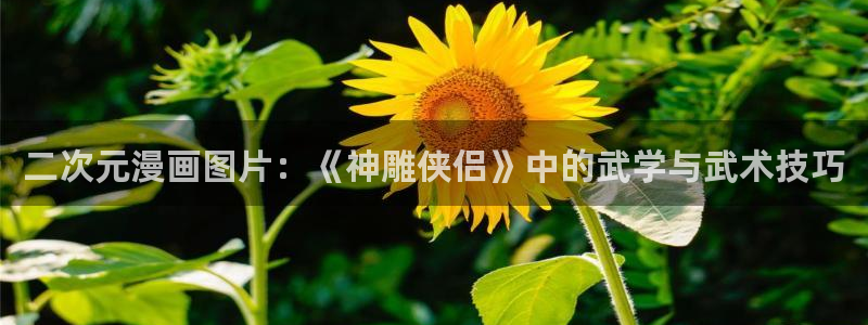 51漫画双男主漫画免费阅读看漫画：二次元漫画图片：《神雕侠侣》中的武学与武术技巧