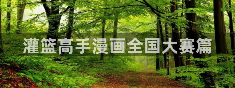 视频免费51漫画：灌篮高手漫画全国大赛篇