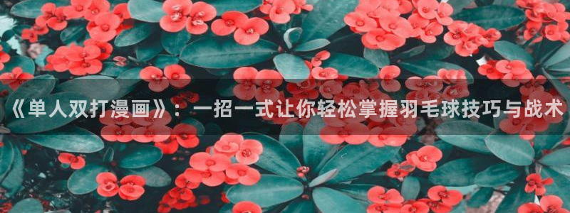 黄51漫画免费网站：《单人双打漫画》：一招一式让你轻松掌握羽毛球技巧与战术