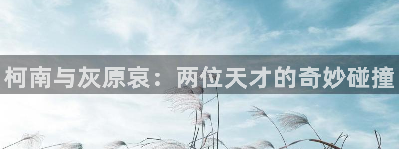 51漫画双男主漫画：柯南与灰原哀：两位天才的奇妙碰撞